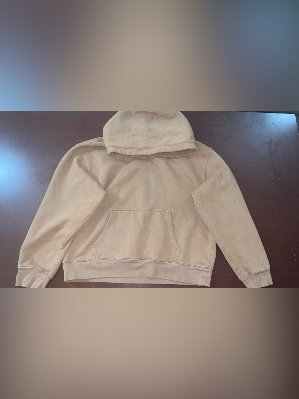 TNA Cozy Fleece Hoodie in Warm Tan
